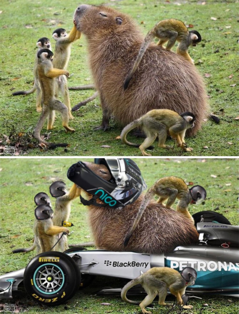 25 works of the winners of photoshop battles