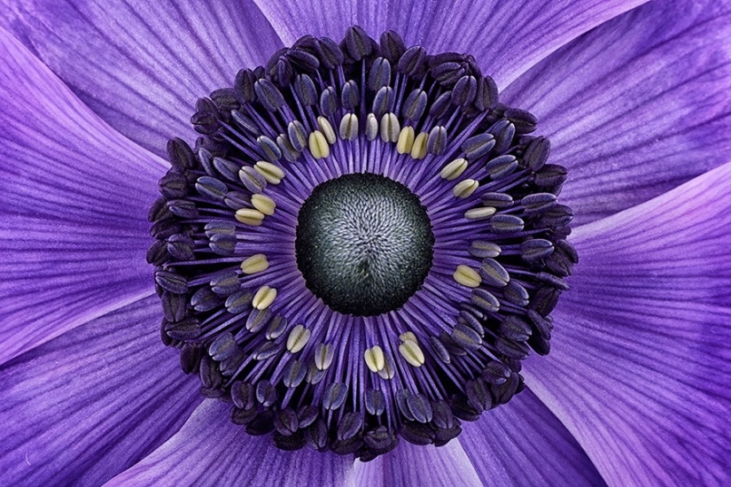 30 fotos armoniosas con simetría perfecta