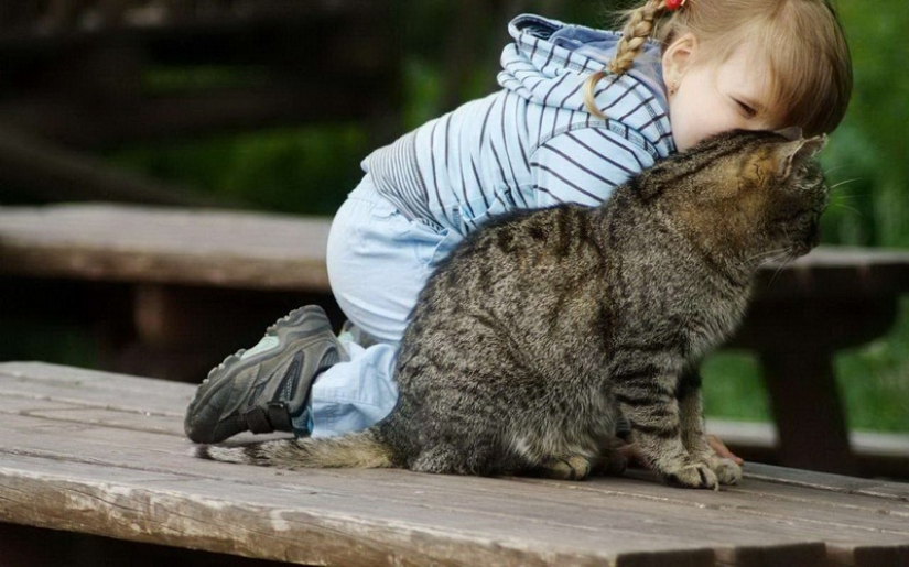 30 maneras de usar gatos en el hogar