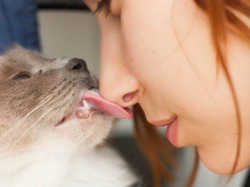 35 photos that speak louder than any words!