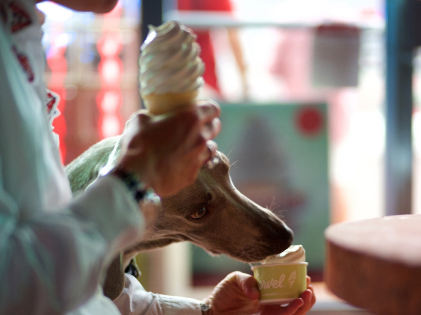 35 photos that speak louder than any words!