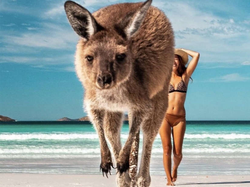 35 photos that speak louder than any words!