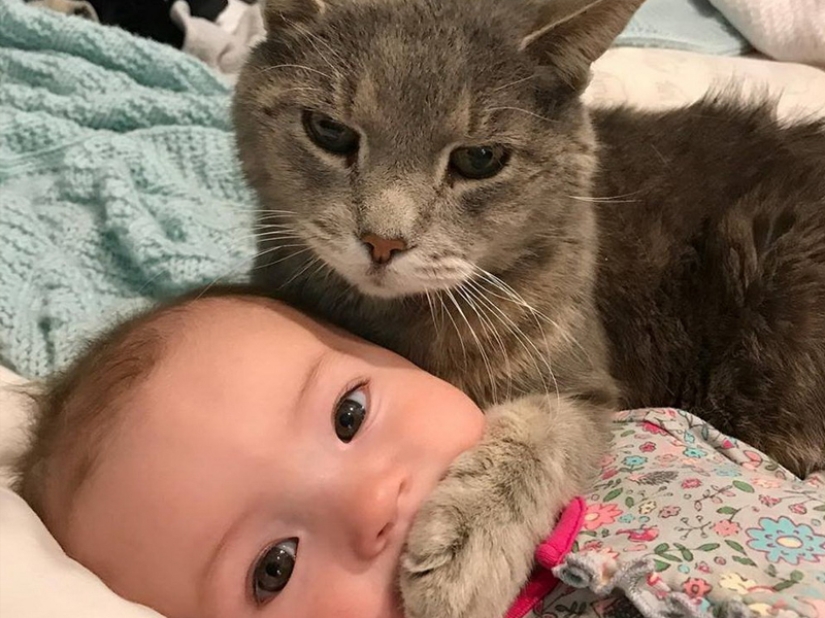 35 photos that speak louder than any words!
