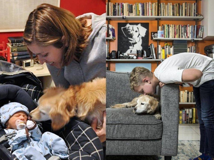 35 photos that speak louder than any words!