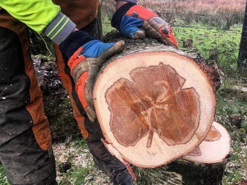 35 photos that speak louder than any words!
