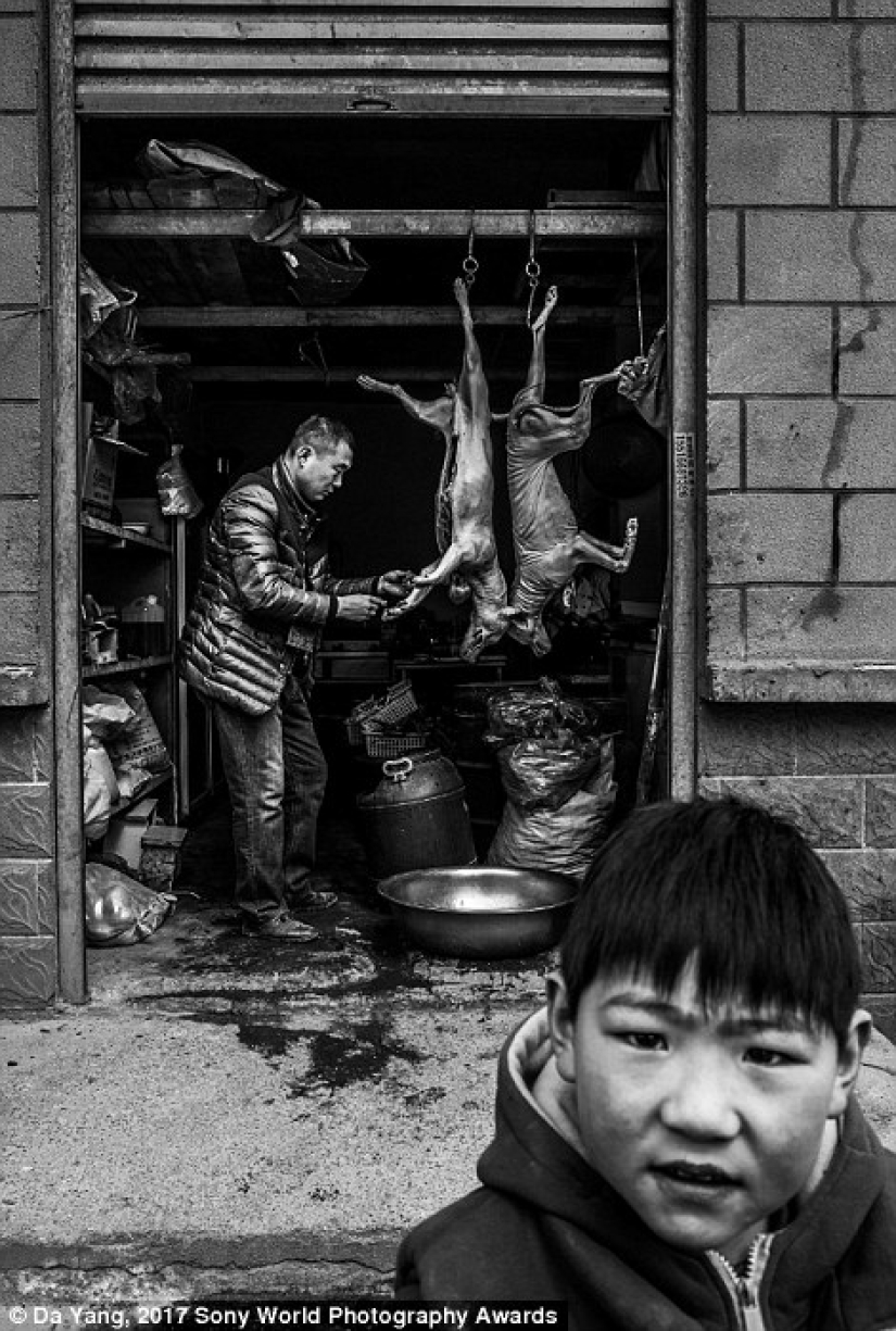 38 increíbles retratos que muestran lo diferentes que son las vidas de los niños de diferentes países del mundo