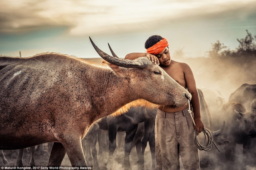 38 increíbles retratos que muestran lo diferentes que son las vidas de los niños de diferentes países del mundo