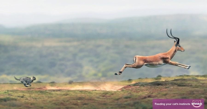 40 impresiones publicitarias creativas 40 impresiones publicitarias creativas