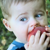 5 consejos sobre cómo elegir el derecho delicioso y dulce melocotón