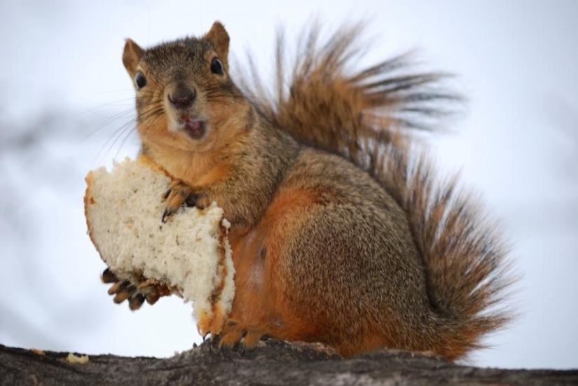 5 cosas a las que debes prestar atención para no congelarte este invierno