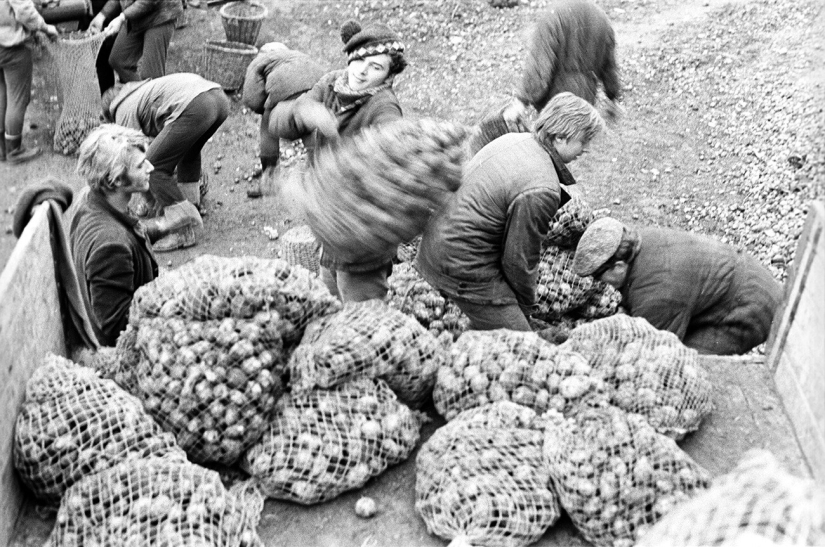 5 formas de ganar dinero para niños en la URSS 5 formas de ganar dinero para niños en la URSS