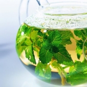 5 hierbas silvestres que se preparan mejor en té para calentar 5 hierbas silvestres que se preparan mejor en té para calentar