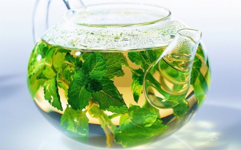5 hierbas silvestres que se preparan mejor en té para calentar