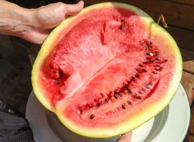 5 signs of nitrate watermelon that may help you avoid food poisoning