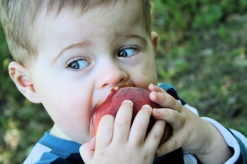 5 tips on how to choose the right delicious and sweet peach