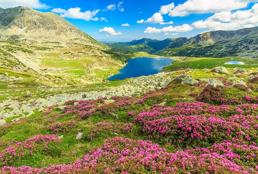 50 reasons to visit Romania 50 reasons to visit Romania