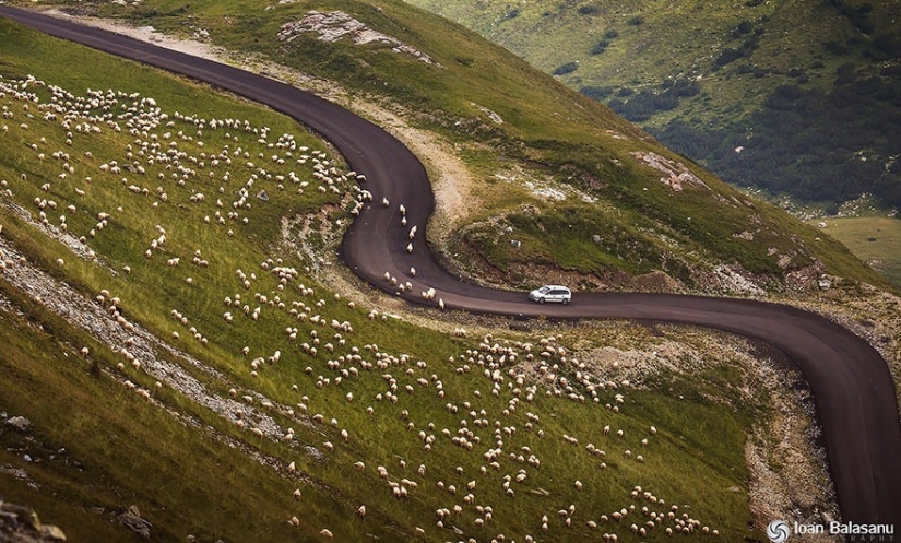 50 reasons to visit Romania 50 reasons to visit Romania