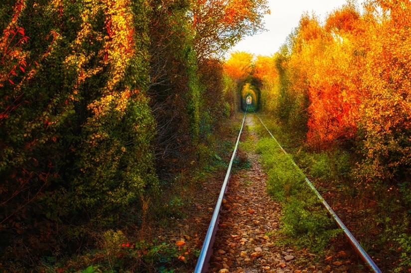 50 reasons to visit Romania 50 reasons to visit Romania