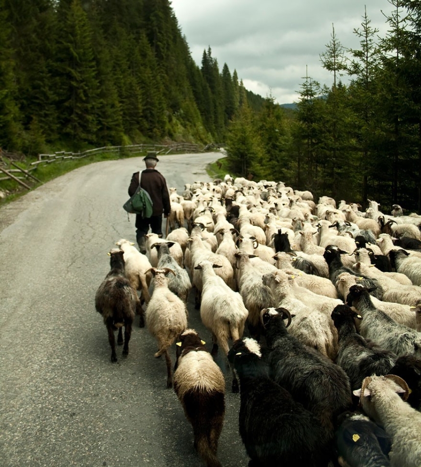 50 reasons to visit Romania 50 reasons to visit Romania