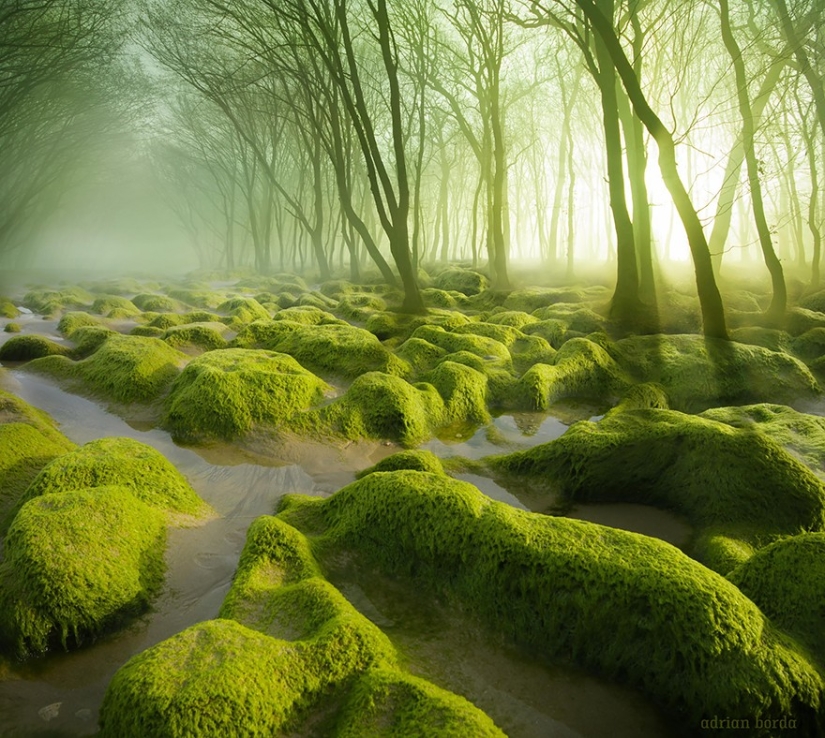 50 reasons to visit Romania 50 reasons to visit Romania