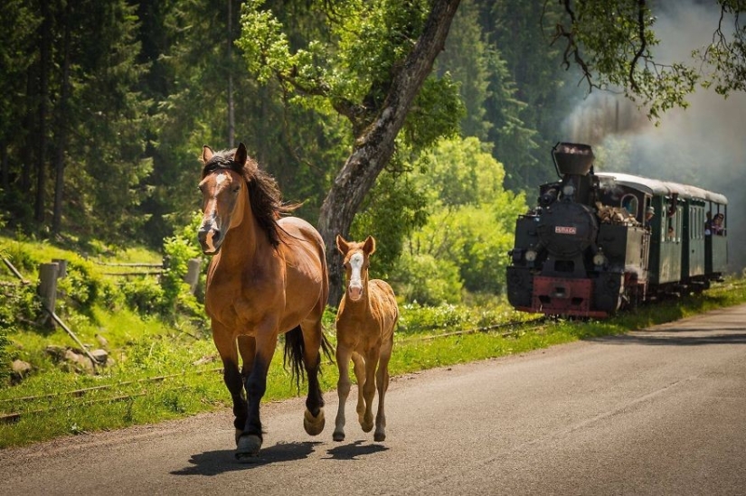 50 reasons to visit Romania 50 reasons to visit Romania