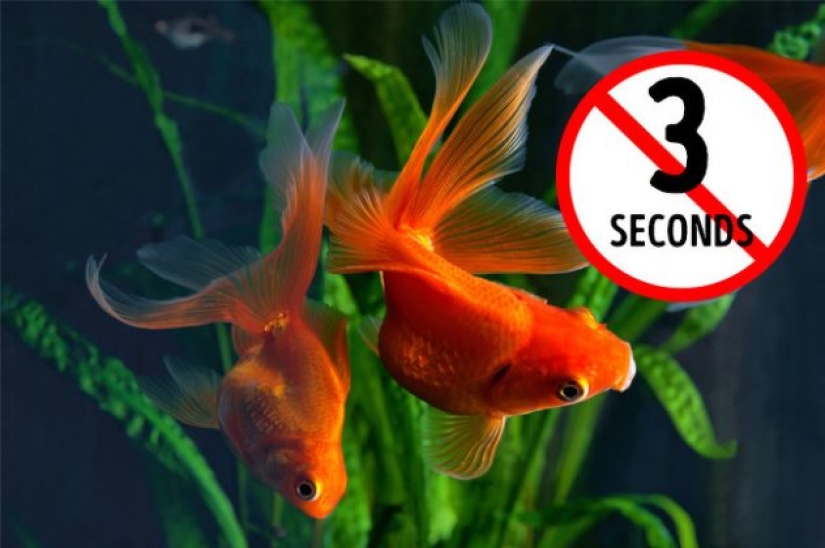 6 conceptos erróneos populares que algunos de nosotros todavía creemos