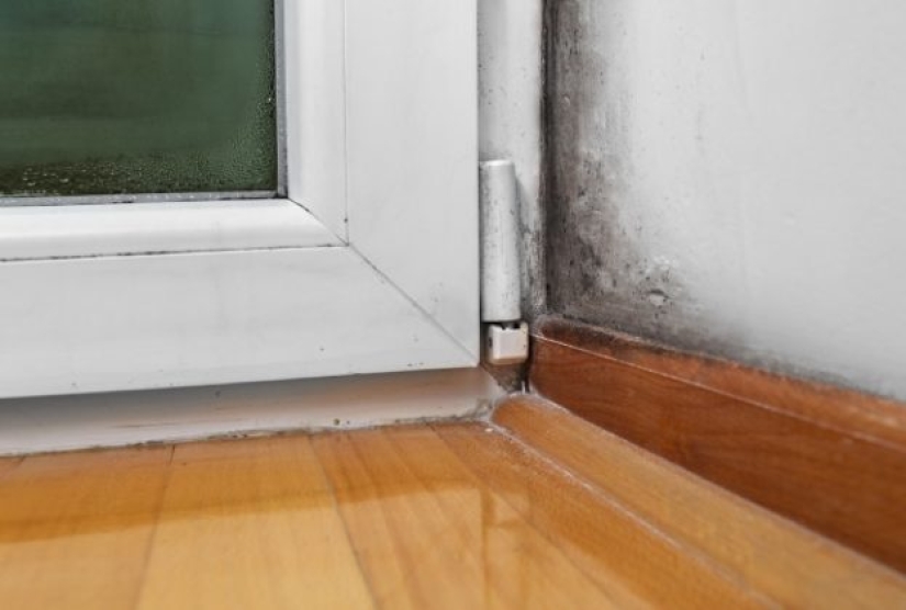 6 cosas que debes saber antes de alquilar un piso