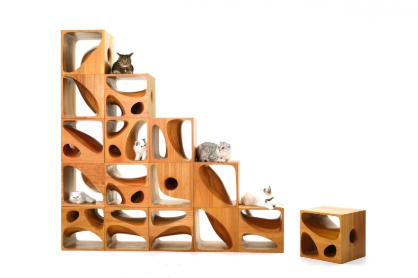 6 de los inventos creativos y proyectos conceptuales más asombrosos