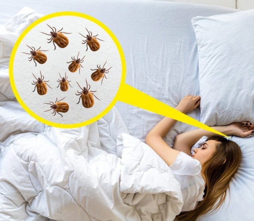 6 hygiene mistakes 6 hygiene mistakes