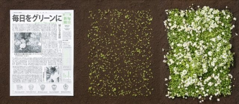 6 Innovative Ways Different Countries Are Saving Our Planet From Waste