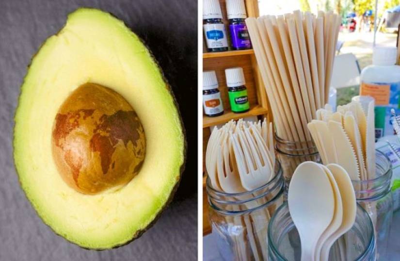 6 Innovative Ways Different Countries Are Saving Our Planet From Waste