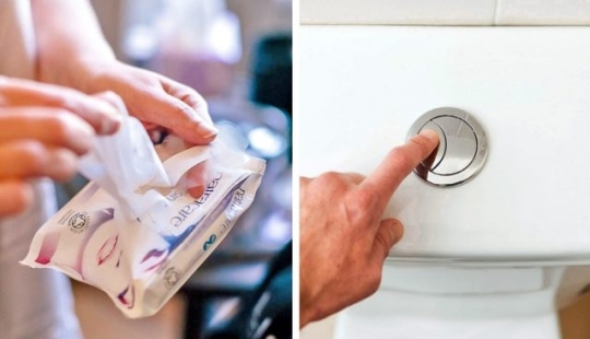 6 Innovative Ways Different Countries Are Saving Our Planet From Waste