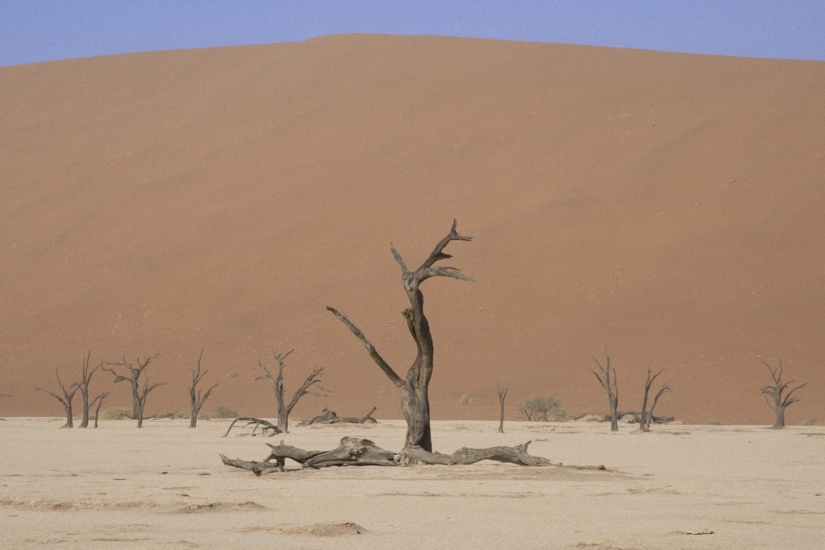 6 lugares sin vida en la tierra