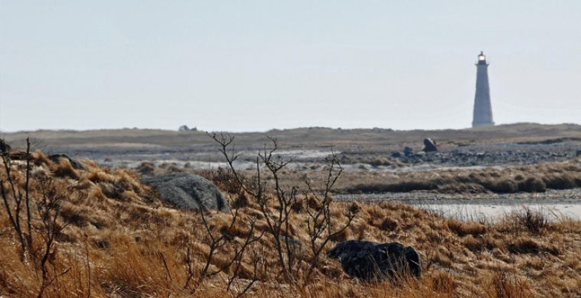 6 picturesque shipwreck cemeteries 6 picturesque shipwreck cemeteries