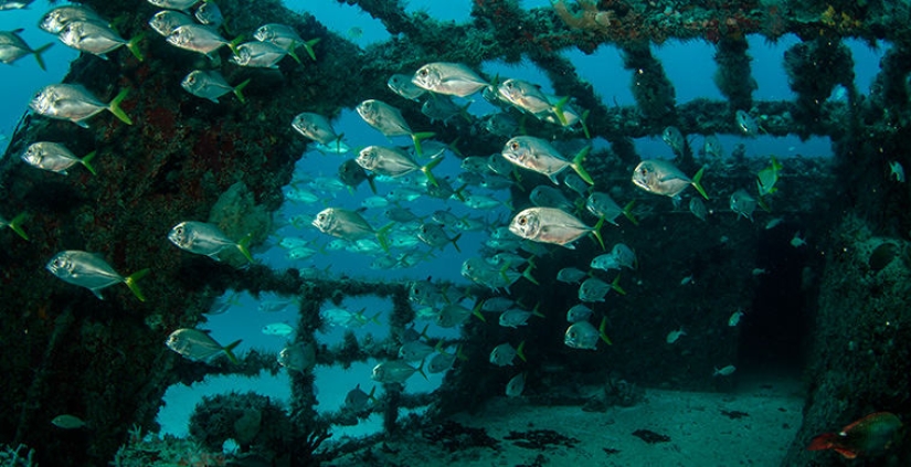 6 pintorescos cementerios de naufragios 6 pintorescos cementerios de naufragios