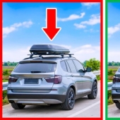 6 precious hawks who can help you spend less on fuel