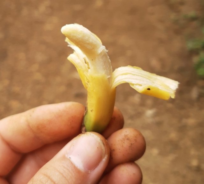6 Times People Noticed Unusual Things Among Routines