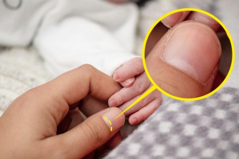 7 cosas que has visto un millón de veces y probablemente aún no sepas su verdadero nombre 7 cosas que has visto un millón de veces y probablemente aún no sepas su verdadero nombre