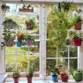 7 creative options for those who want to replace ordinary curtains with something else 7 creative options for those who want to replace ordinary curtains with something else