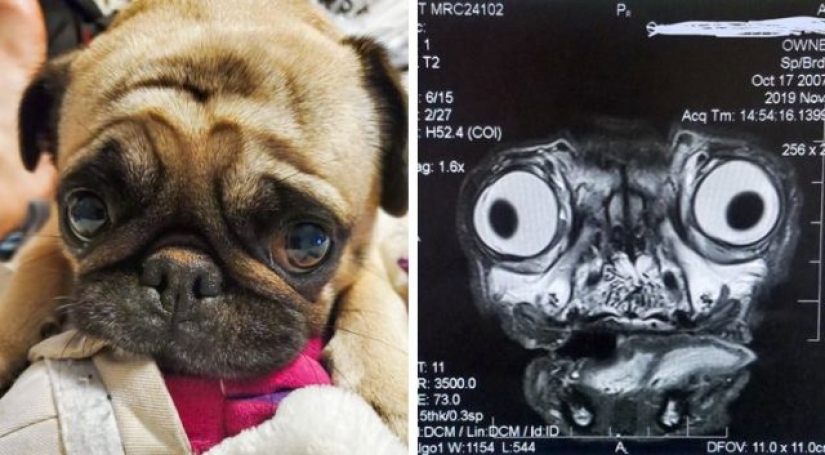 7 fotos que nos ayudan a mirar el mundo en el que vivimos desde un nuevo ángulo 7 fotos que nos ayudan a mirar el mundo en el que vivimos desde un nuevo ángulo