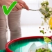 7 hábitos culinarios que pueden ser peligrosos 7 hábitos culinarios que pueden ser peligrosos