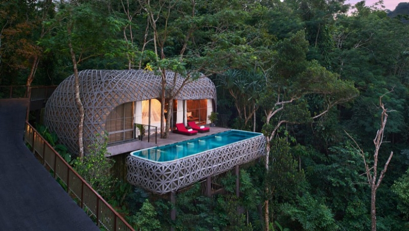 7 hoteles que hicieron realidad el sueño de la infancia de una casa en el árbol 7 hoteles que hicieron realidad el sueño de la infancia de una casa en el árbol