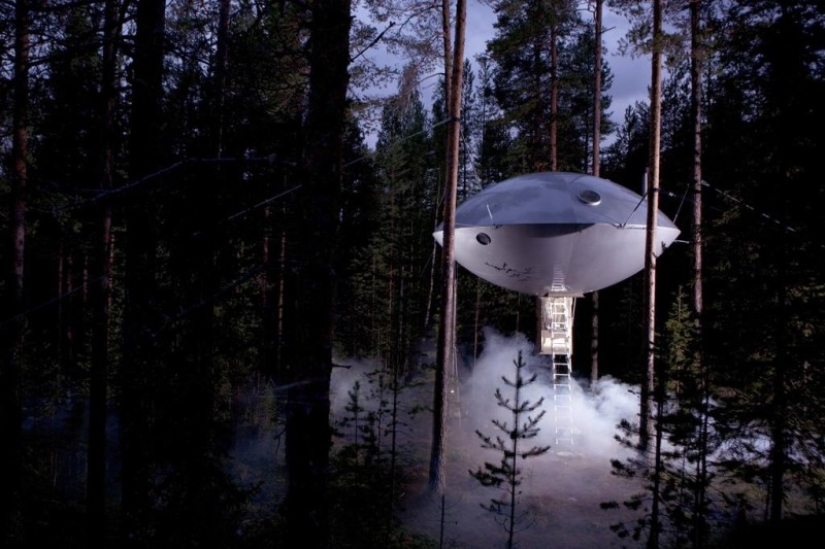 7 hoteles que hicieron realidad el sueño de la infancia de una casa en el árbol 7 hoteles que hicieron realidad el sueño de la infancia de una casa en el árbol
