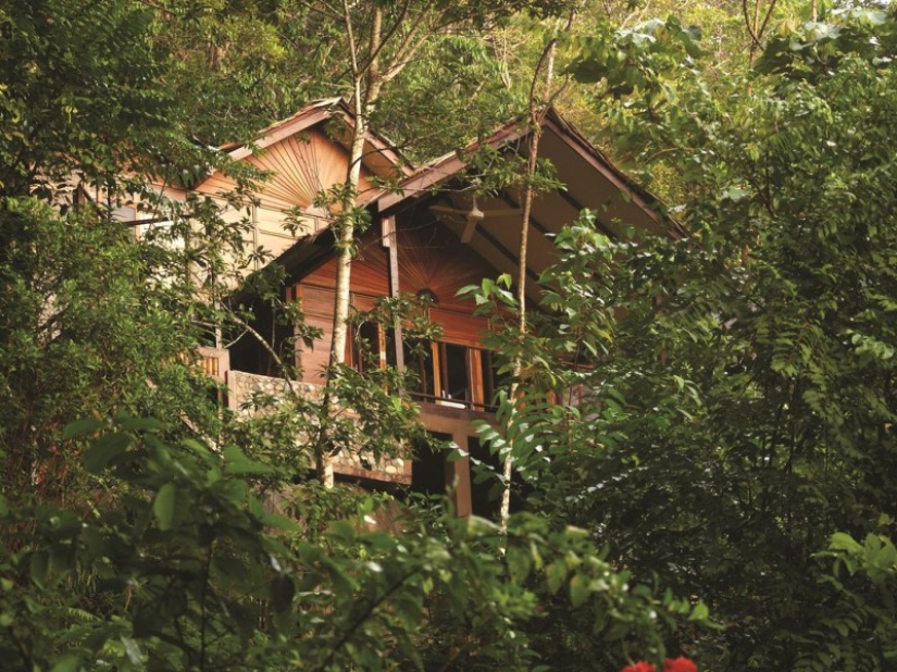 7 hoteles que hicieron realidad el sueño de la infancia de una casa en el árbol 7 hoteles que hicieron realidad el sueño de la infancia de una casa en el árbol