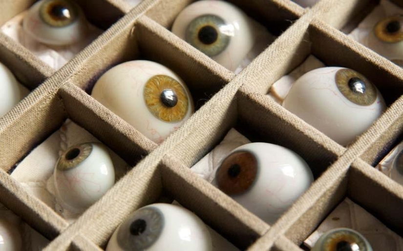 7 most unexpected finds of customs officers 7 most unexpected finds of customs officers