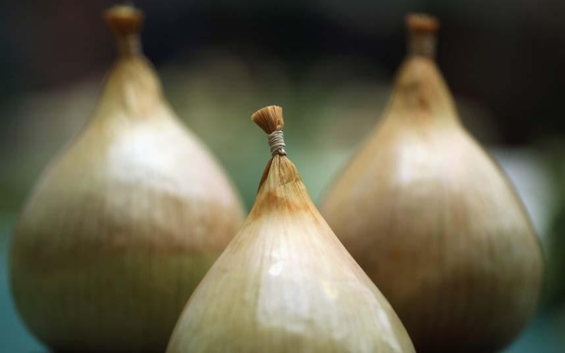 7 most unexpected finds of customs officers 7 most unexpected finds of customs officers