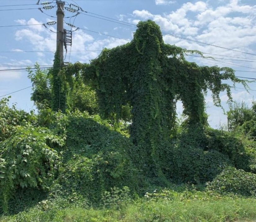 7 photos that immediately raise a lot of questions