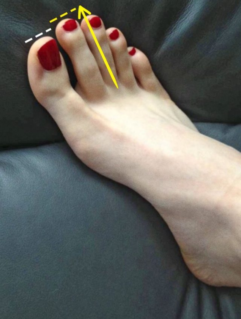 7 things you've seen a million times and you probably still don't know their real name 7 things you've seen a million times and you probably still don't know their real name