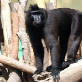 7 weirdest and scariest animals you should run from 7 weirdest and scariest animals you should run from