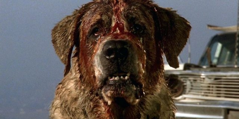 8 animales más espeluznantes en películas de terror